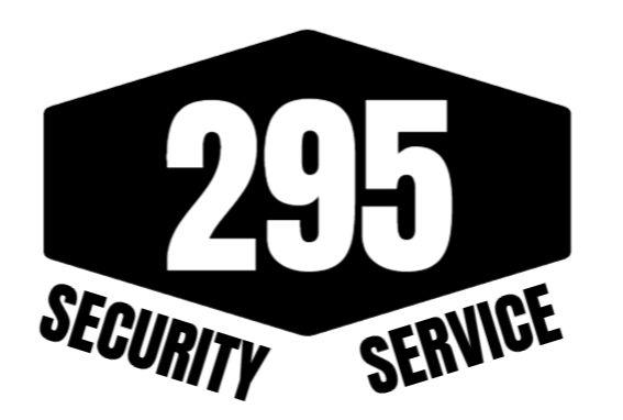 295 Security System