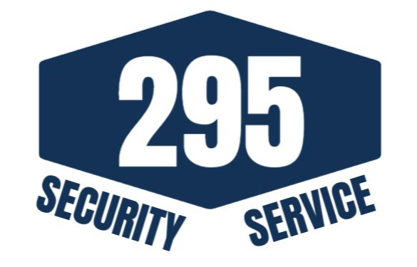 295 Security System